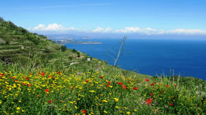 Ischia Wanderweg