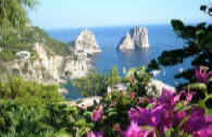 Capri Faraglioni Felsen