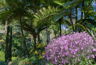Ischia La Mortella Garten