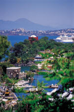 Ischia Hafen