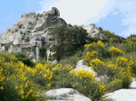 Ischia Epomeo Gipfel