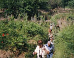 Ischia Wanderweg