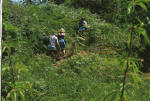 Ischia Wanderweg