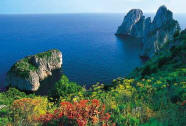 Capri