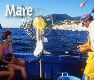 Ischia Bootfahrt