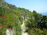 ischia Wanderweg