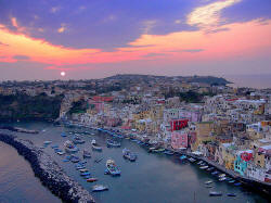 Insel Procida Corricella Hafen